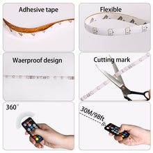 Load image into Gallery viewer, Richsing LED Strip Lights 32.8 Feet LED Lights for Room